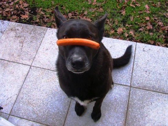 Bildschirmarbeiter - Picdump 16.01.2009