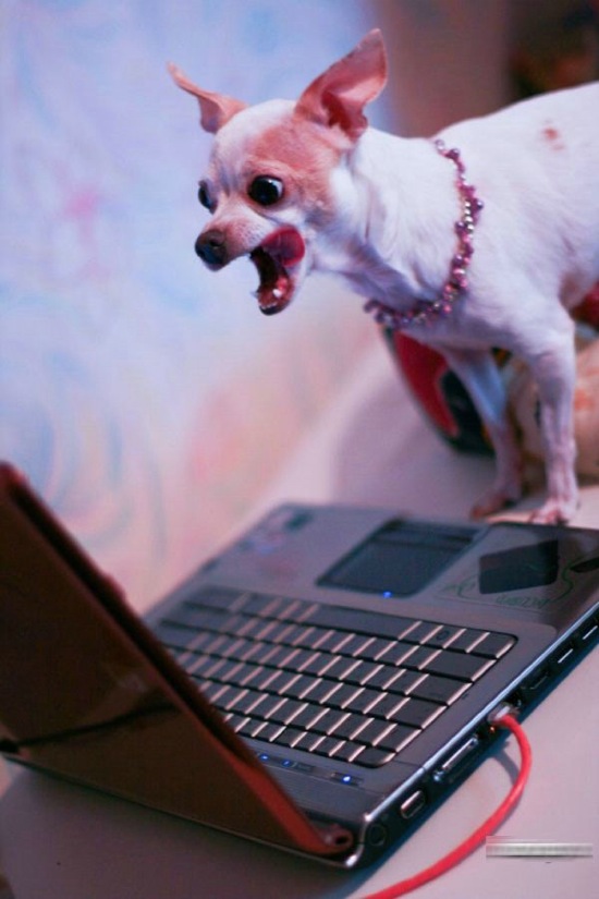 Bildschirmarbeiter - Picdump 23.01.2009