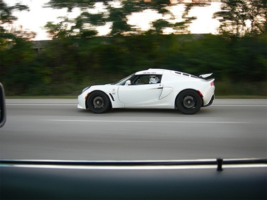 Bildschirmarbeiter - Picdump 23.01.2009