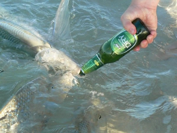 Bildschirmarbeiter - Picdump 06.03.2009