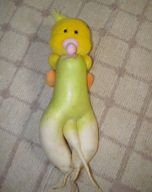 Bildschirmarbeiter - Picdump 06.03.2009