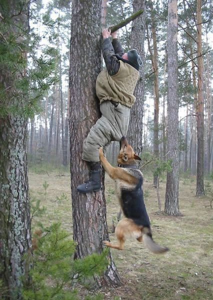 Bildschirmarbeiter - Picdump 06.03.2009