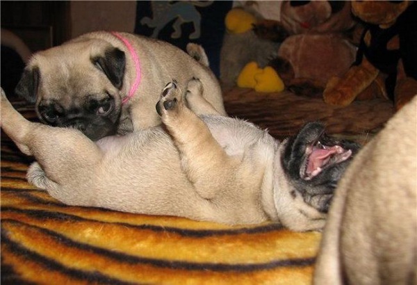 Bildschirmarbeiter - Picdump 06.03.2009