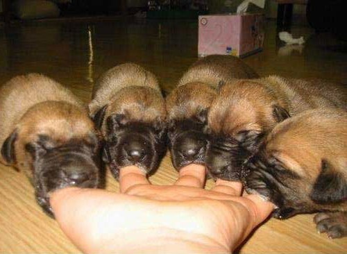 Bildschirmarbeiter - Picdump 06.03.2009