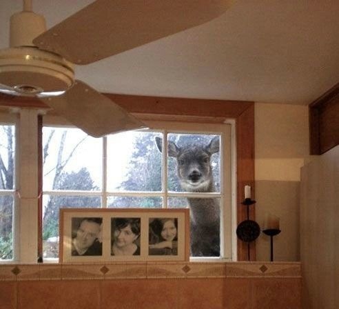 Bildschirmarbeiter - Picdump 06.03.2009