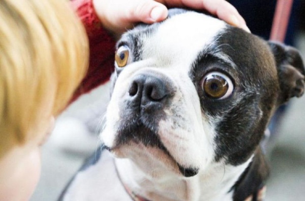 Bildschirmarbeiter - Picdump 06.03.2009