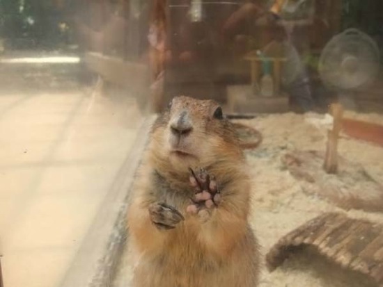 Bildschirmarbeiter - Picdump 06.02.2009