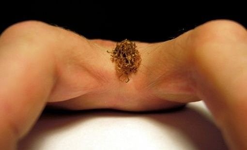 Bildschirmarbeiter - Picdump 06.02.2009