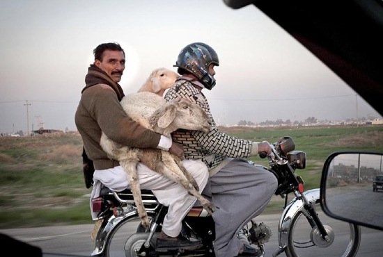 Bildschirmarbeiter - Picdump 06.02.2009