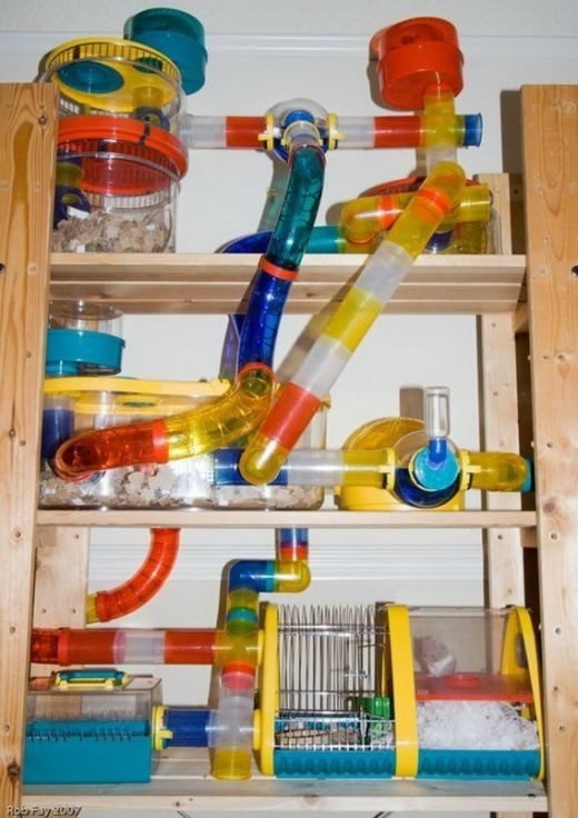 Bildschirmarbeiter - Picdump 06.02.2009