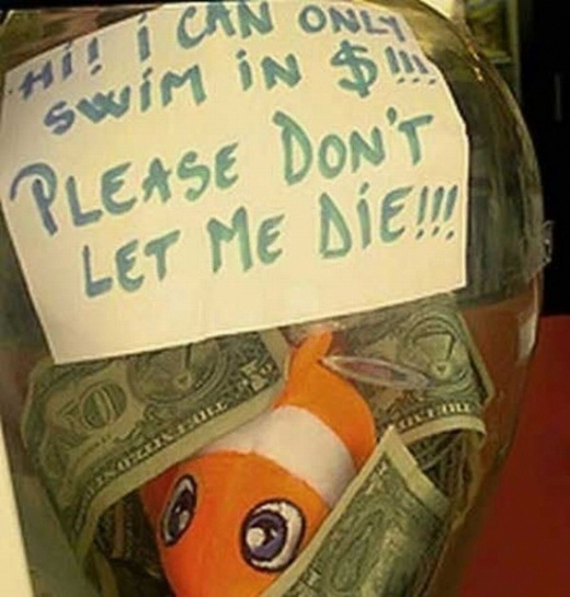 Bildschirmarbeiter - Picdump 06.02.2009