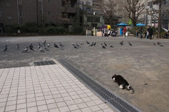 Bildschirmarbeiter - Picdump 13.02.2009