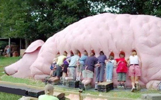 Bildschirmarbeiter - Picdump 13.02.2009