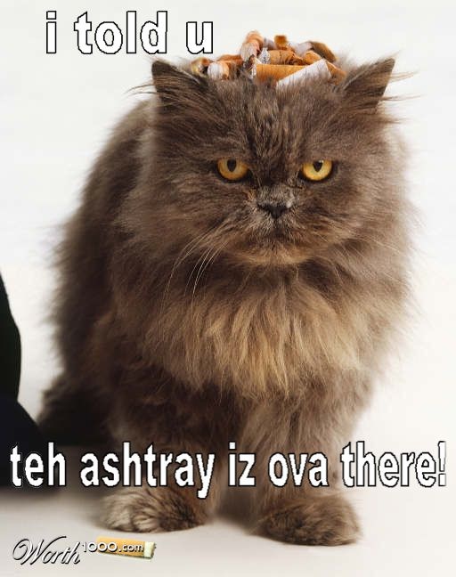 Bildschirmarbeiter - Picdump 13.02.2009