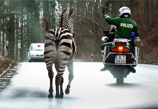 Bildschirmarbeiter - Picdump 13.02.2009