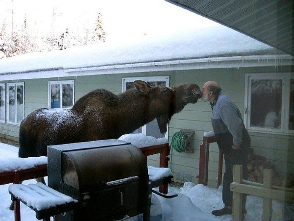 Bildschirmarbeiter - Picdump 17.04.2009