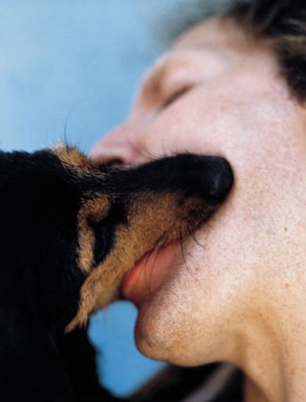 Bildschirmarbeiter - Picdump 17.04.2009