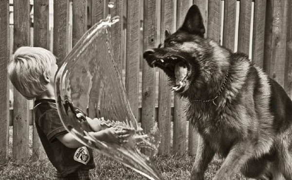 Bildschirmarbeiter - Picdump 24.04.2009