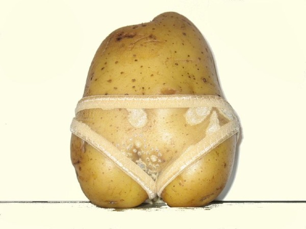 Bildschirmarbeiter - Picdump 24.04.2009