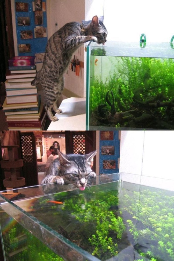 Bildschirmarbeiter - Picdump 24.04.2009