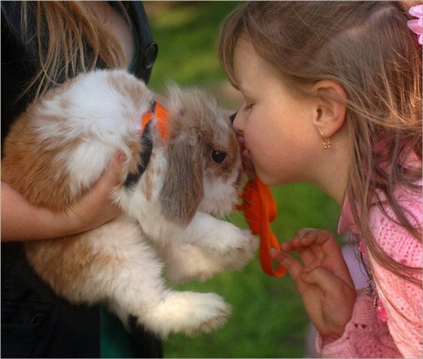 Bildschirmarbeiter - Picdump 24.04.2009