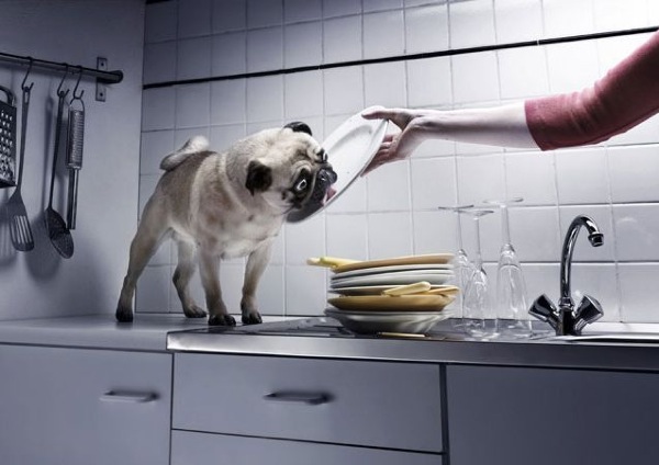 Bildschirmarbeiter - Picdump 24.04.2009