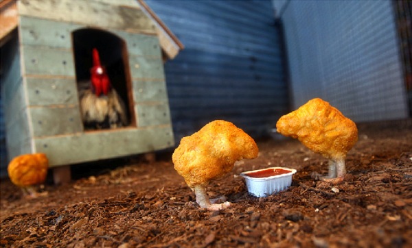 Bildschirmarbeiter - Picdump 24.04.2009