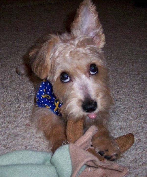 Bildschirmarbeiter - Picdump 24.04.2009