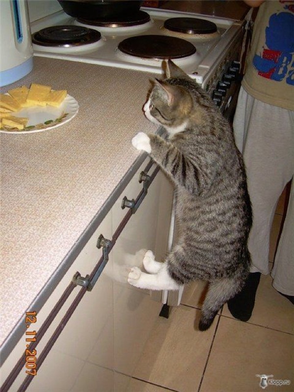 Bildschirmarbeiter - Picdump 24.04.2009