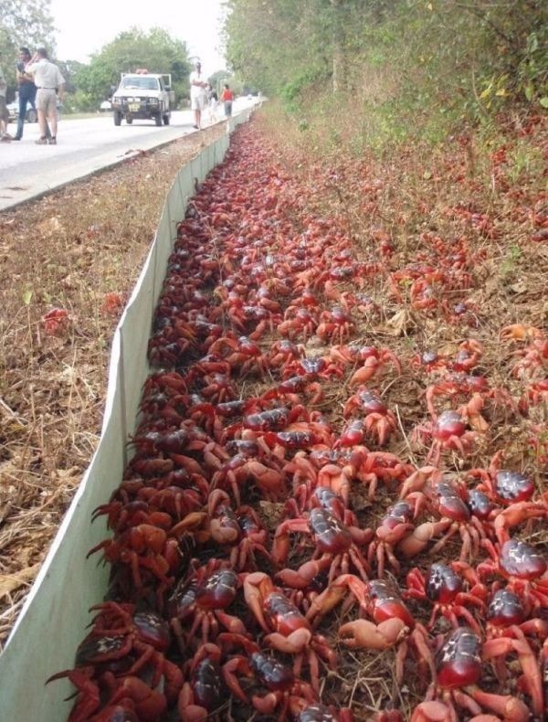 Bildschirmarbeiter - Picdump 24.04.2009