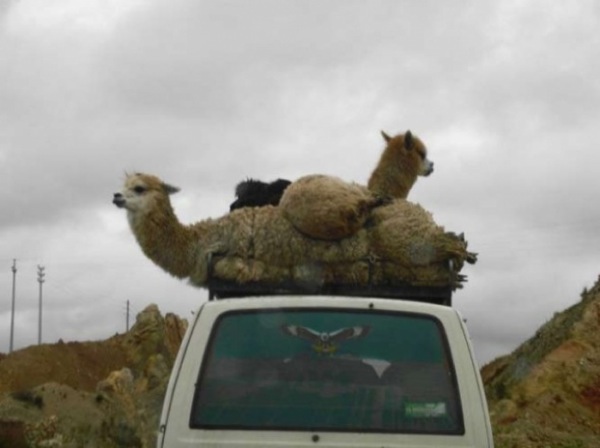 Bildschirmarbeiter - Picdump 01.05.2009