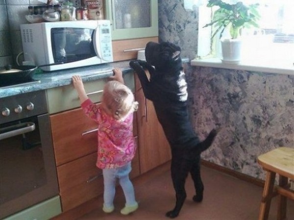 Bildschirmarbeiter - Picdump 01.05.2009