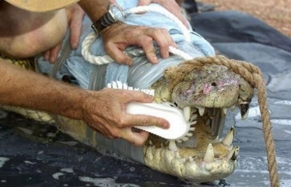 Bildschirmarbeiter - Picdump 01.05.2009