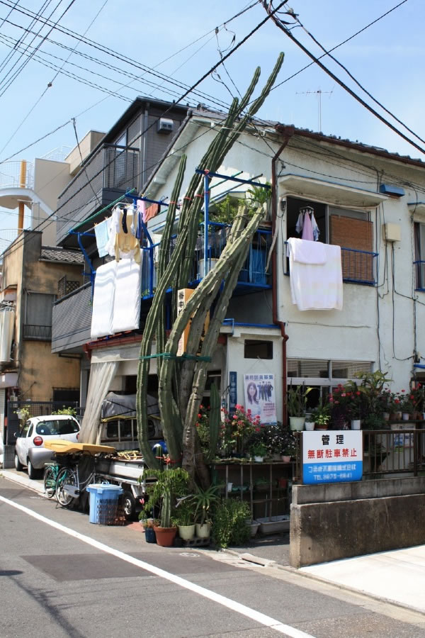 Bildschirmarbeiter - Picdump 05.06.2009