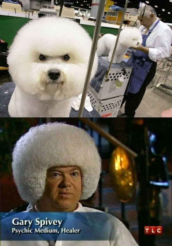 Bildschirmarbeiter - Picdump 05.06.2009