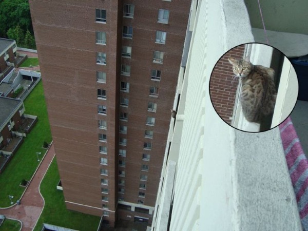 Bildschirmarbeiter - Picdump 05.06.2009