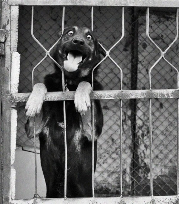 Bildschirmarbeiter - Picdump 19.06.2009