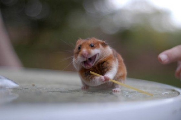 Bildschirmarbeiter - Picdump 19.06.2009