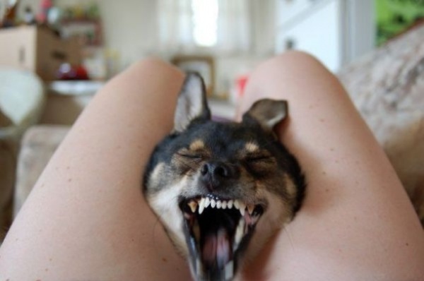 Bildschirmarbeiter - Picdump 19.06.2009