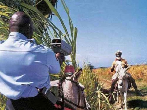 Bildschirmarbeiter - Picdump 19.06.2009