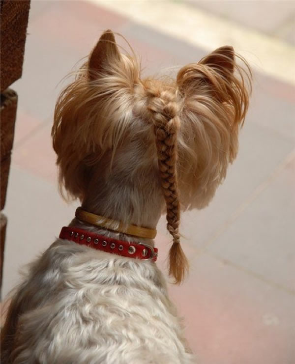 Bildschirmarbeiter - Picdump 19.06.2009