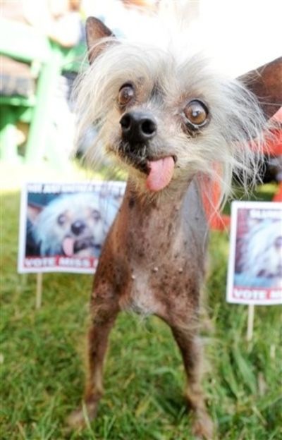 Bildschirmarbeiter - Picdump 03.07.2009