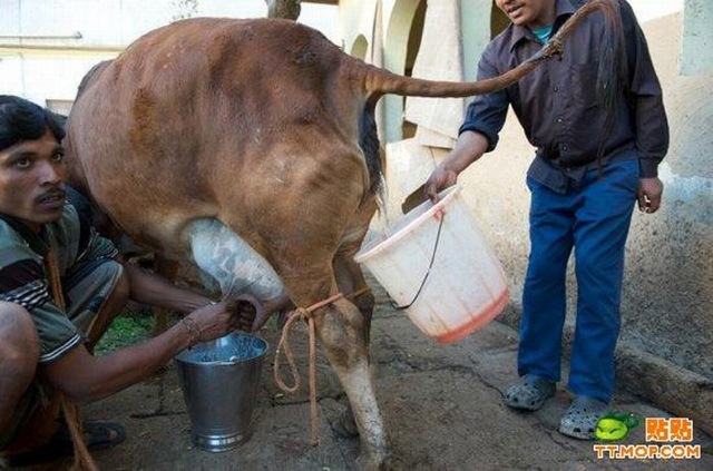 Bildschirmarbeiter - Picdump 03.07.2009