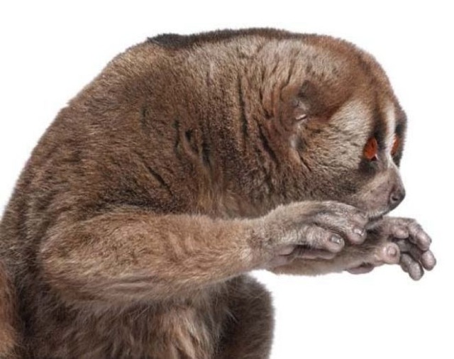 Bildschirmarbeiter - Picdump 03.07.2009