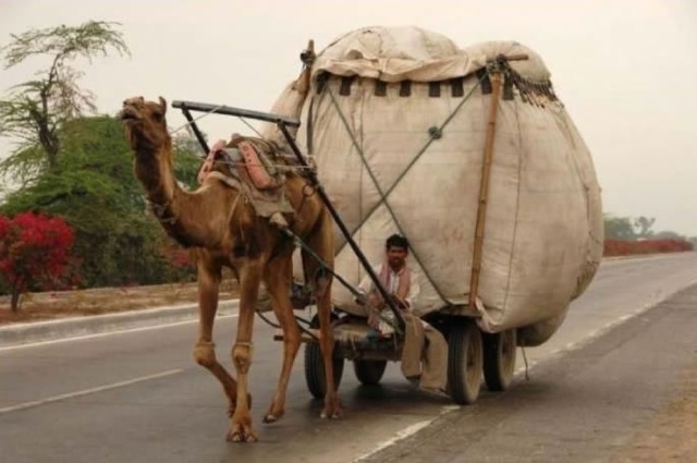 Bildschirmarbeiter - Picdump 03.07.2009