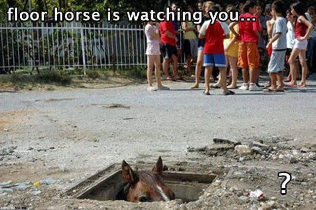 Bildschirmarbeiter - Picdump 03.07.2009