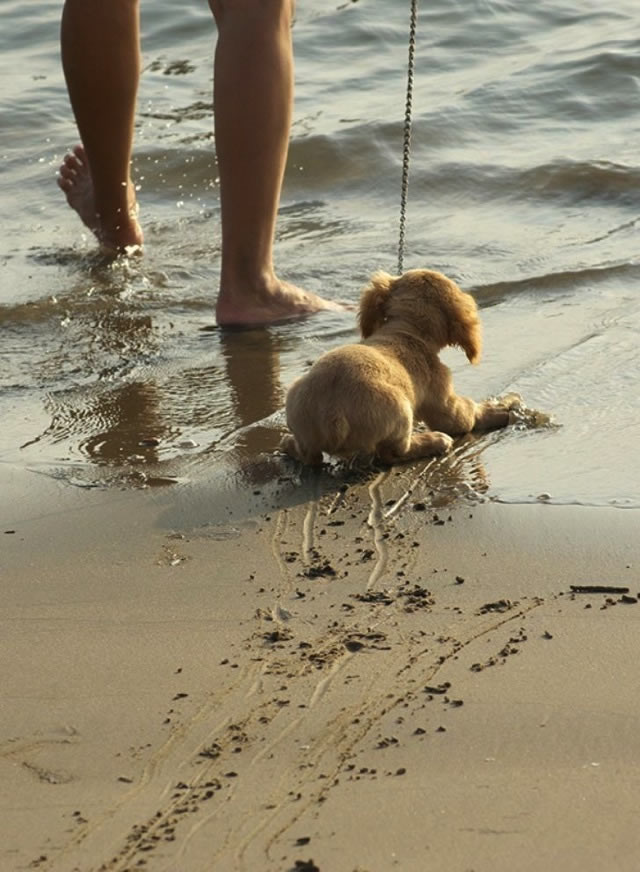 Bildschirmarbeiter - Picdump 03.07.2009