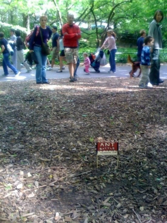 Bildschirmarbeiter - Picdump 03.07.2009