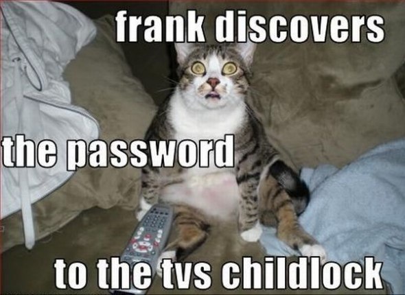 Bildschirmarbeiter - Picdump 31.07.2009