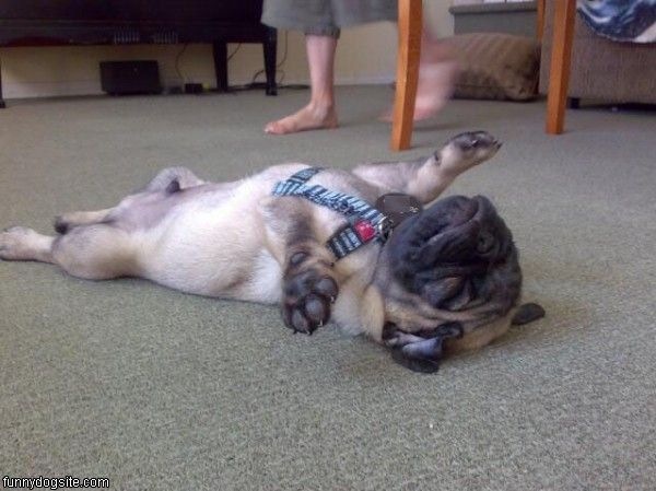 Bildschirmarbeiter - Picdump 31.07.2009